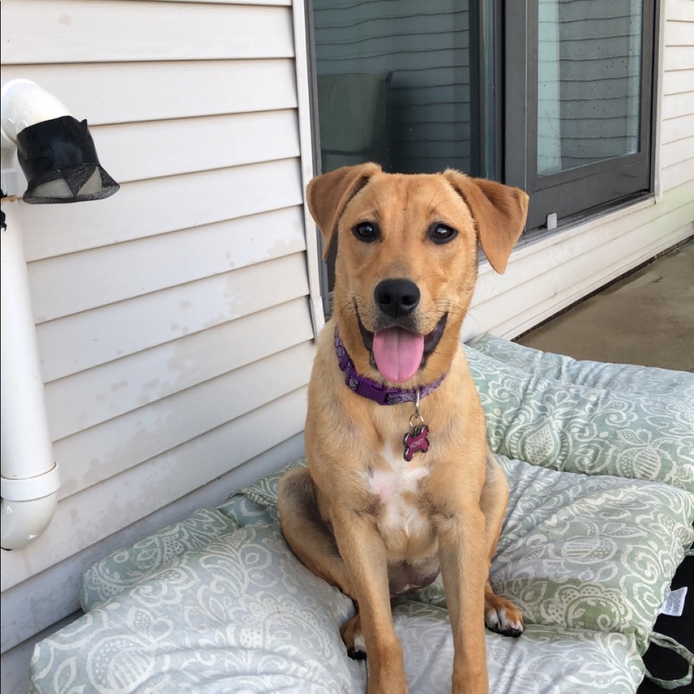 Meet your Posher, Katie